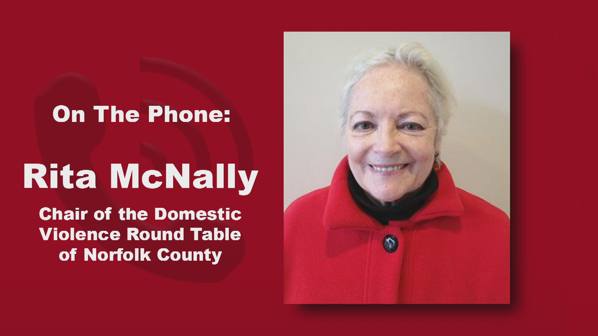 The Safety Net - Rita McNally