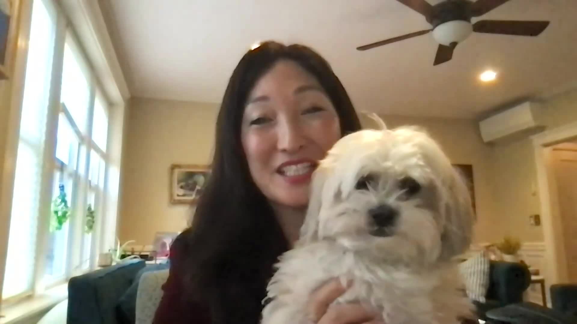 The Safety Net - Susan Park