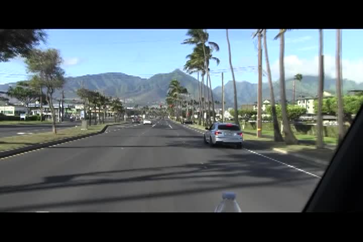 Around the Garden with Jimmy K